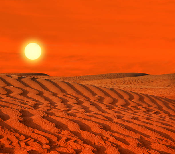 istock Desert of North Africa 491205633