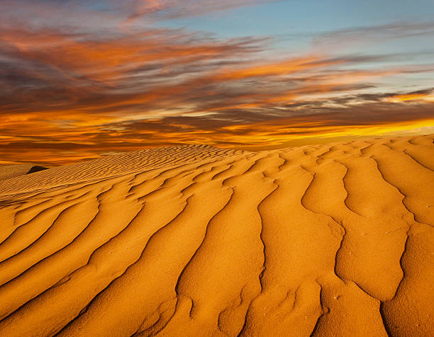 istock Desert of North Africa 491205947