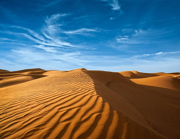 istock Desert of North Africa 491206007