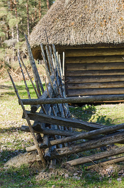 istock Old rural building with a roof covered by straw, close-up 491207741
