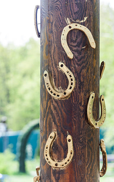istock good luck horseshoe on the pole 491207811
