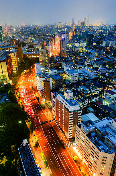 istock Traffic in Tokyo In The Night 491216986