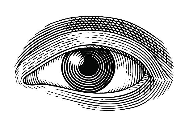 ilustraciones, imágenes clip art, dibujos animados e iconos de stock de ojo humano - grabado objeto fabricado