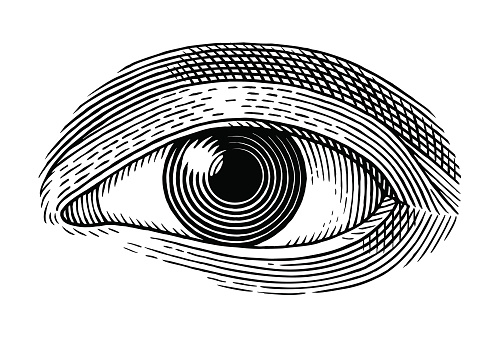 Vector illustration of human eye in engraved style