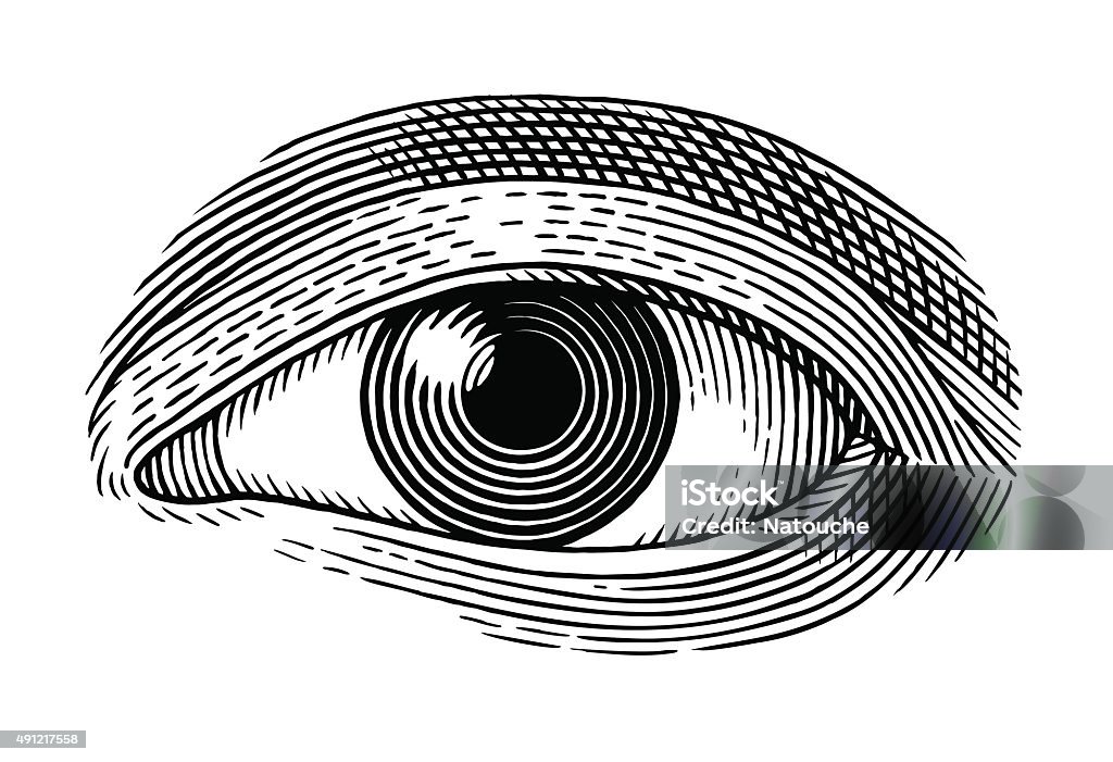 human eye Vector illustration of human eye in engraved style Eye stock vector