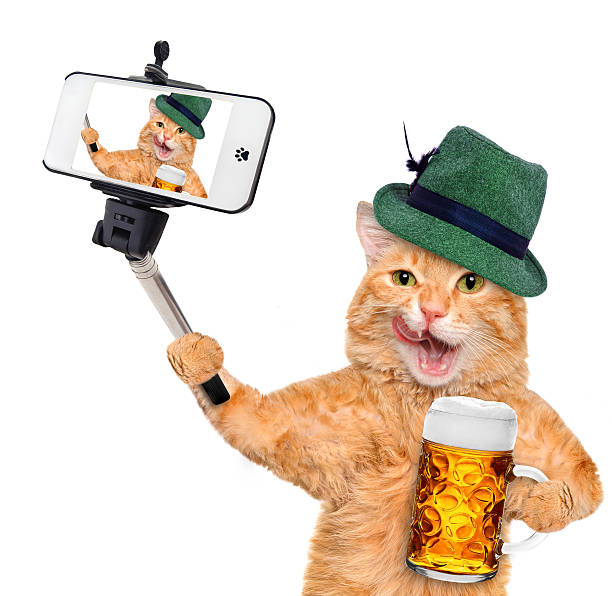 istock Cat taking a selfie with a smartphone 491218112