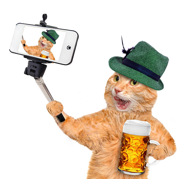istock Cat taking a selfie with a smartphone 491218372