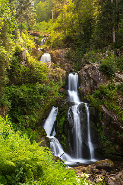 triberg cachoeiras - black forest waterfall triberg landscape - fotografias e filmes do acervo