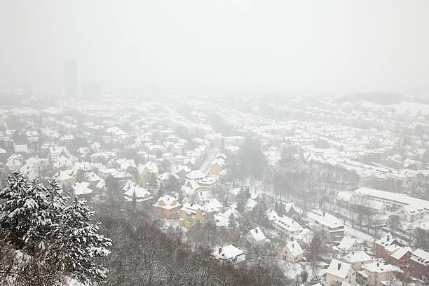 inverno vista di jena - jena foto e immagini stock