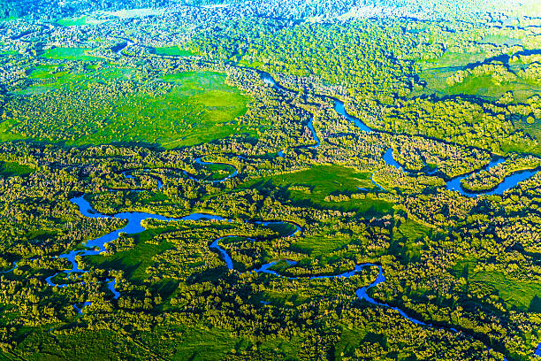 istock Winding Rivers in Taiga 491231822