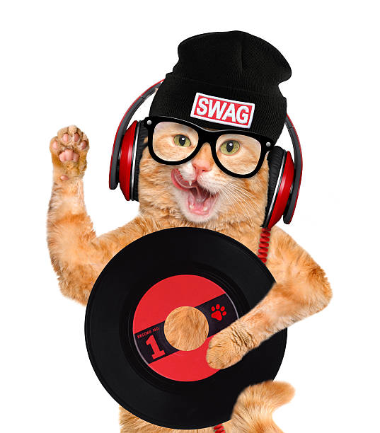 record per vinile cuffie musica gatto. - animals and pets arts and entertainment music foto e immagini stock