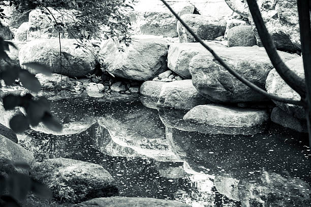 istock shot of a silent creek with big rocks 491236148