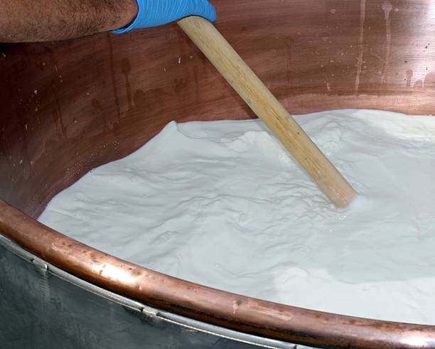 istock worker mixes the milk in a cauldron to make cheese 491242487