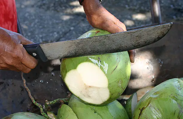 Brazil Maranhao Sao Luis woman cutting opening coconut