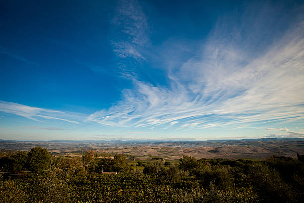 Vineyards at sunset in Val d'Orcia village, (Florence), Tuscany, Italy