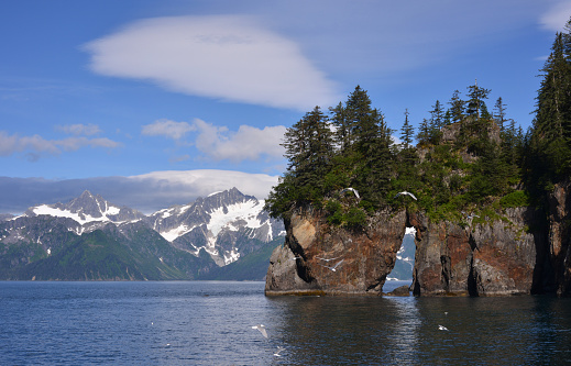 View of colorful, rocky shores of Aialik Bay in the Kenai Fjords National Park, Kenai Peninsula, Alaska. Kenai Mountains with its glaciers visible on the other side of this Pacific Ocean, narrow bay. Stone Arch in the foreground is an interesting, geological formation cut out by water erosion in hard, volcanic rock.