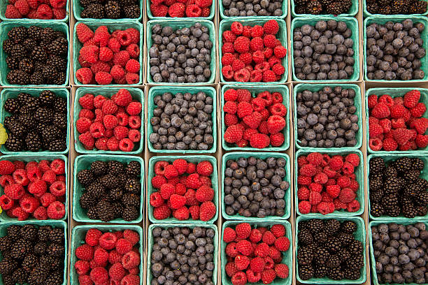 istock Berries raspberries blueberries and blackberries in a row 491244383