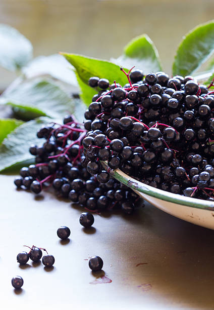 sambucus nigra elderberries, nero, in smalto bowl. verticale, spazio copia - elderberry foto e immagini stock