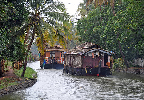 istock Houseboats, Kerala, India 491244989