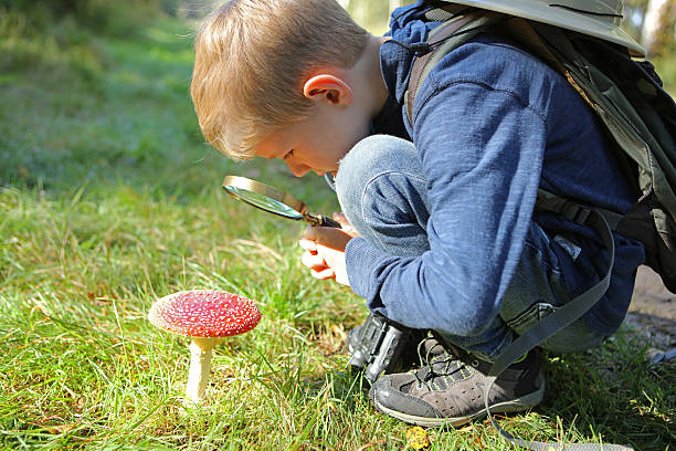 bambino con la lente d'ingrandimento guardando ovulo malefico - fungus mushroom autumn fly agaric mushroom foto e immagini stock