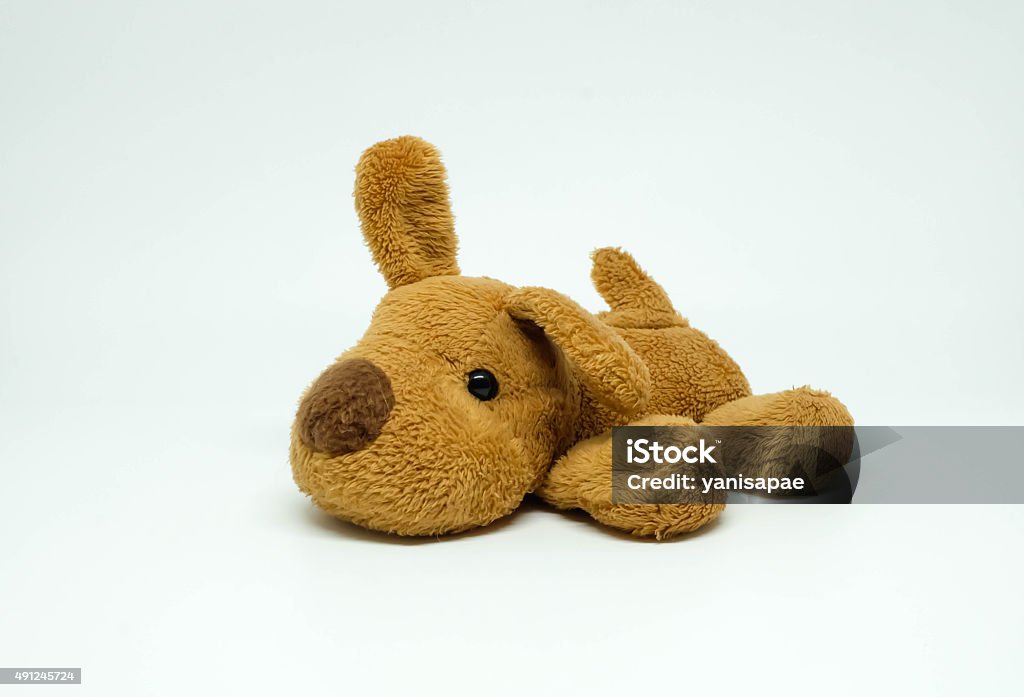 Doggy toy doll dog doll as a toy  Stuffed Toy Stock Photo