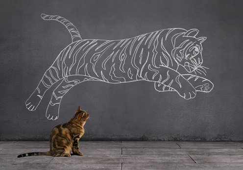 A tabby cat sitting on wooden floor and looking at the running (or jumping) tiger sketched (chalk drawing) on the wall.