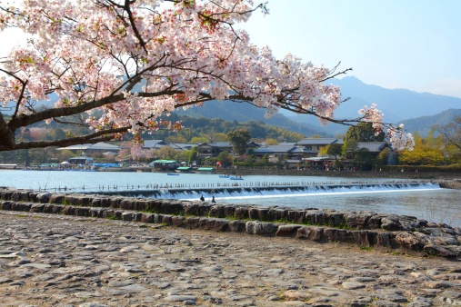 Cherry blossom and Oi River in Arashiyama, Kyoto, Japan. Japanese view.
