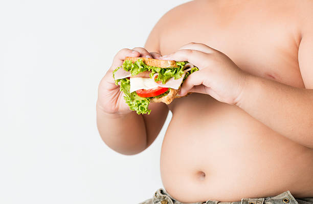 istock sandwich in fat boy hand isolated 491247978