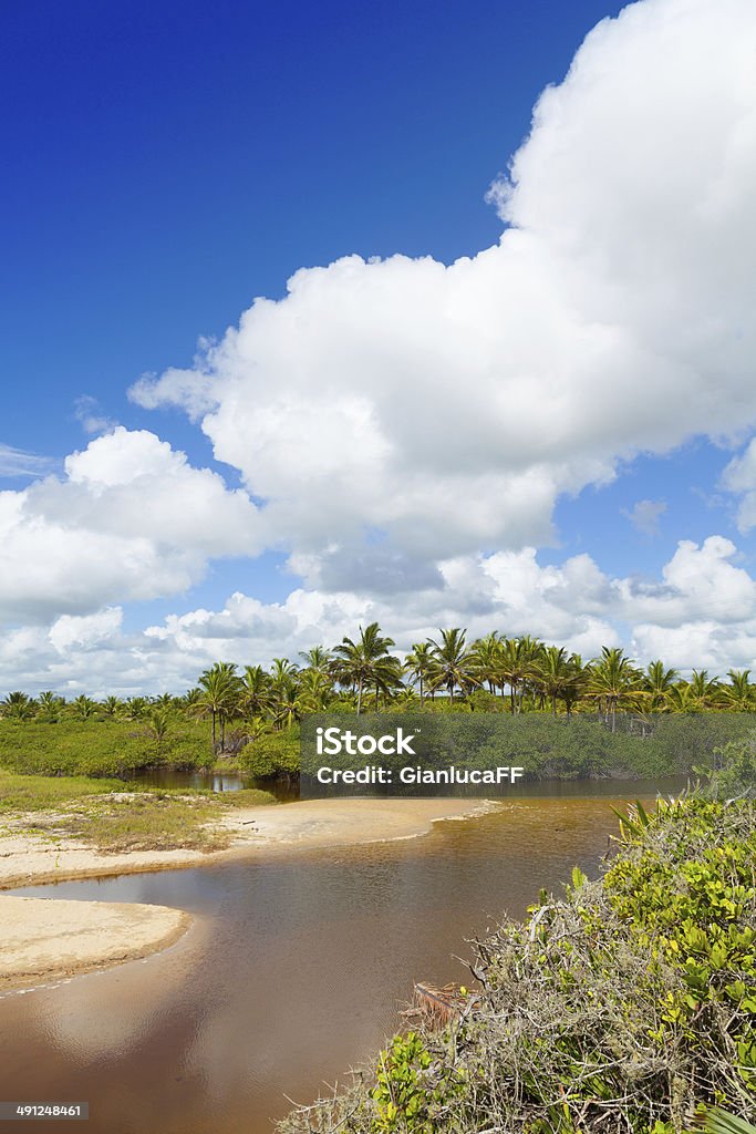 La Costa Dorada, Costa Dourada, Espirito Santo Bahia Brasil - Foto de stock de Blue Mountains - Australia libre de derechos