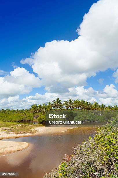 La Costa Dorada Costa Dourada Espirito Santo Bahia Brasil Foto de stock y más banco de imágenes de Blue Mountains - Australia