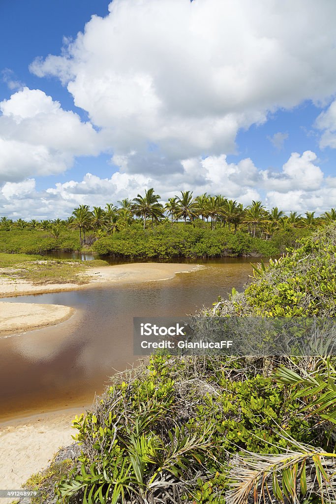 Goldene Küste Costa Dourada, Bundesstaat Espirito Santo Bahia, Brasilien - Lizenzfrei Atlantik Stock-Foto