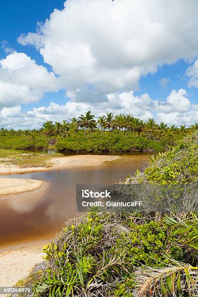 Goldene Küste Costa Dourada Bundesstaat Espirito Santo Bahia Brasilien Stockfoto und mehr Bilder von Atlantik