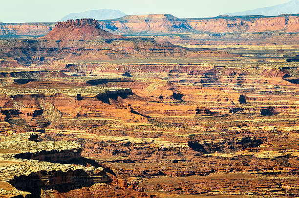 istock Canyonlands National Park 491249392