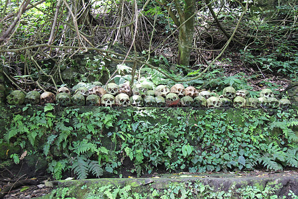 두개 유클리드의 트룬얀 묘지 스톡 사진