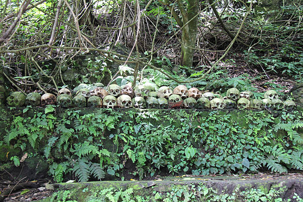 Skulls at the Trunyan Cemetery stock photo