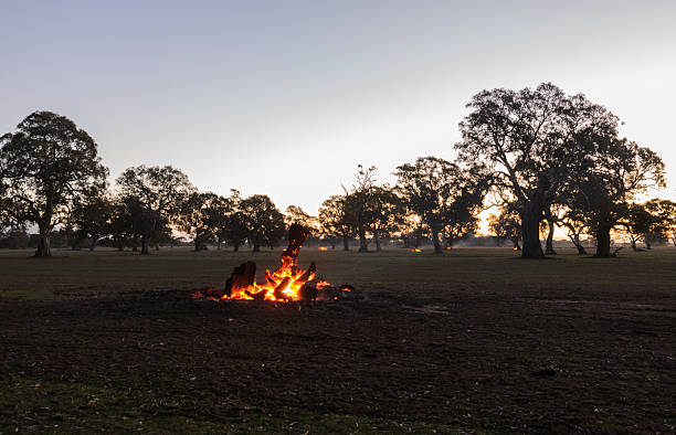 istock Log burning in the garden at sunset 491261154