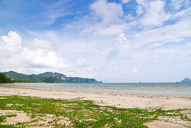 sea island beach clear water bay coast landscape stock photo