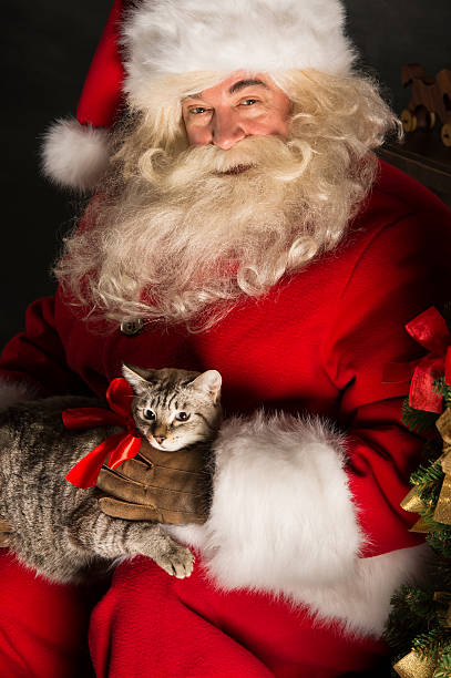 istock Santa Claus making a most wanted gift to a child 491264034