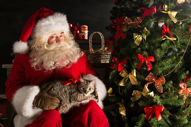istock Santa Claus making a most wanted gift to a child 491264078