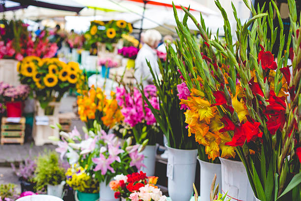 istock Flower market in Riga, Latvia 491264098