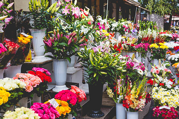 istock Flower market in Riga, Latvia 491264266