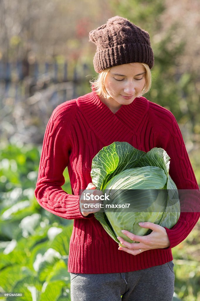 Cabbage harvest Woman holds and inspects a freshly picked cabbage.  Harvest, local farming, locavore movenet concept. Selective focus on cabbage 2015 Stock Photo