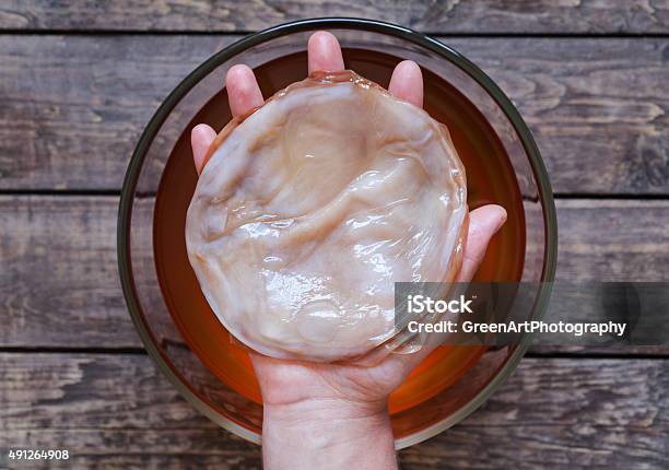 Kombucha Fungus In Unrecognizable Man Hand Healthy Organic Pro Biotic Stock Photo - Download Image Now