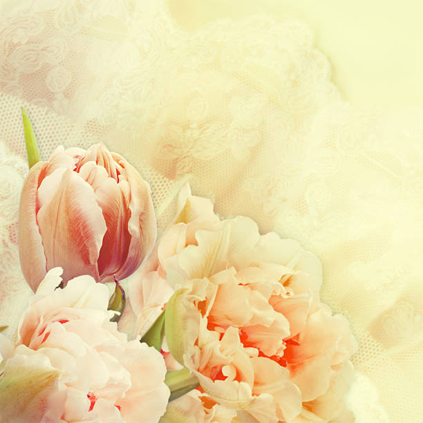 istock Spring flowers on the lace background. 491265318