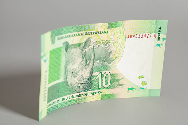 diez rand sudafricano - ten rand note fotografías e imágenes de stock