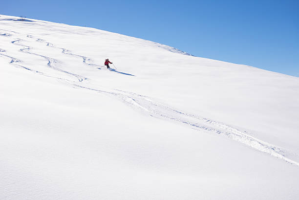 istock Freeriding on fresh powder snow 491266060
