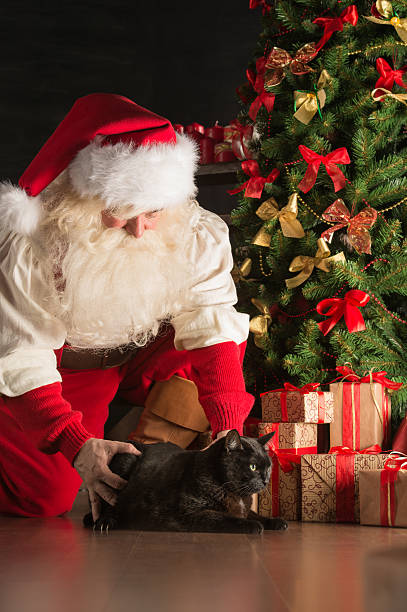 istock Santa meeting big black cat at home 491266778