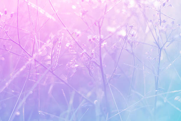 istock beautiful flowers made with color filters 491267126