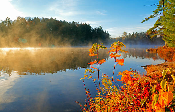 istock Misty Lake at Sunrise 491267960