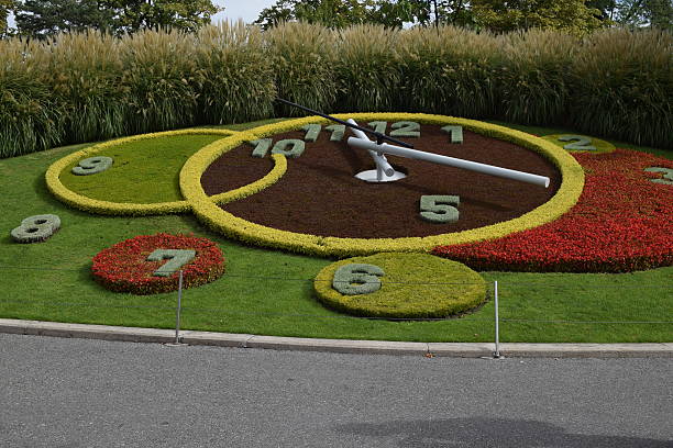 istock GENEVA flowers watch 491277716
